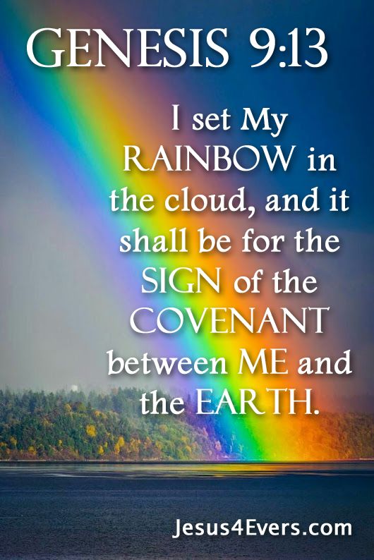 Rainbow And My Covenant