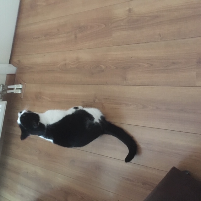 Luna, Still Not So Sweet
