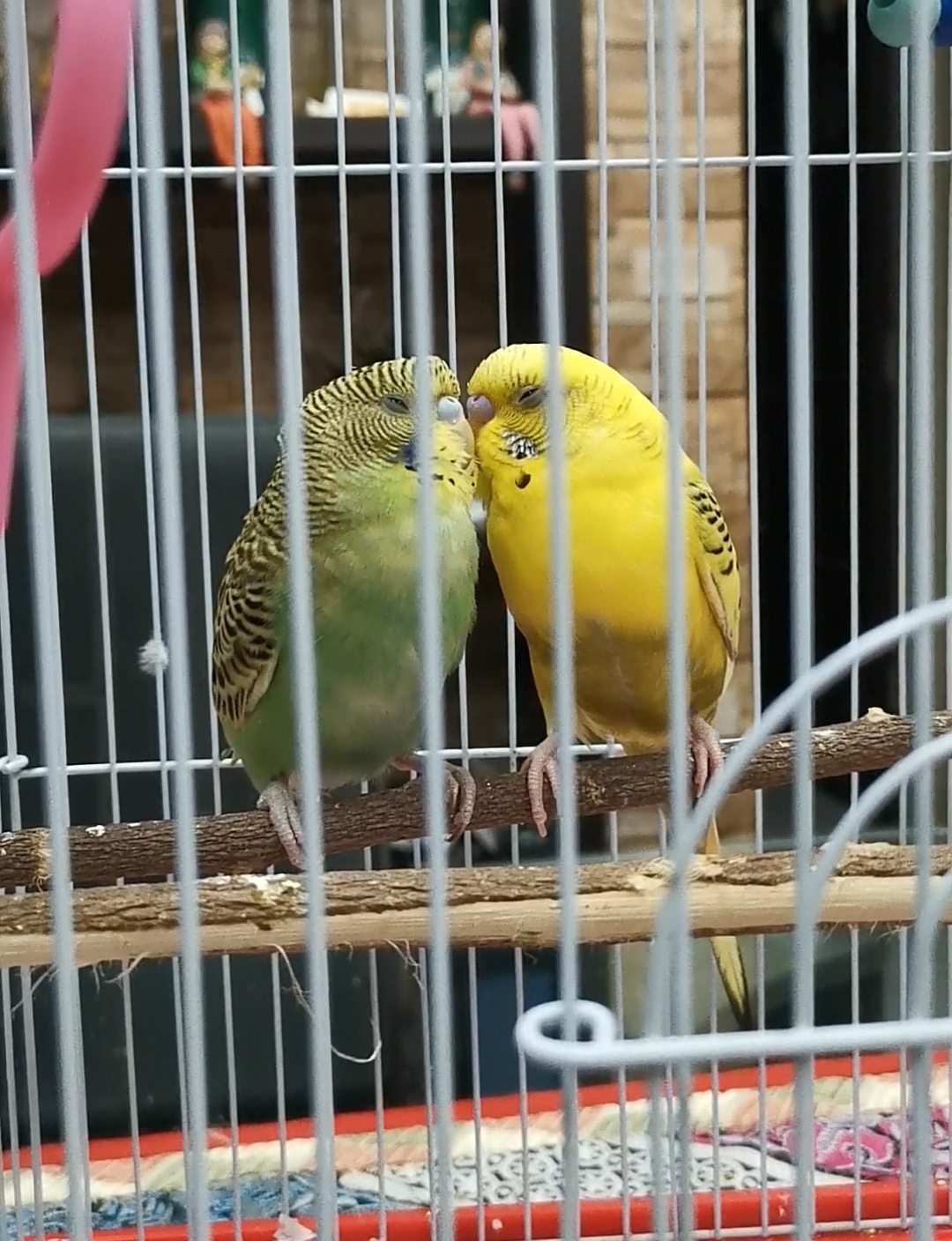 The Flame I Shall Know... ♥️