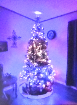 The Tree We Adorn
