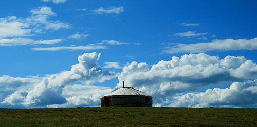 Paradise And Swallows