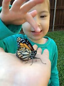 Destination Excellence