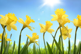 Spring Is Almost Here