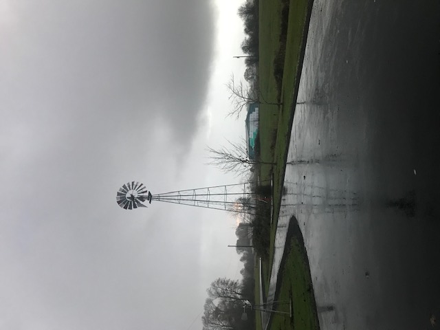 My Windmill Loves The Rain
