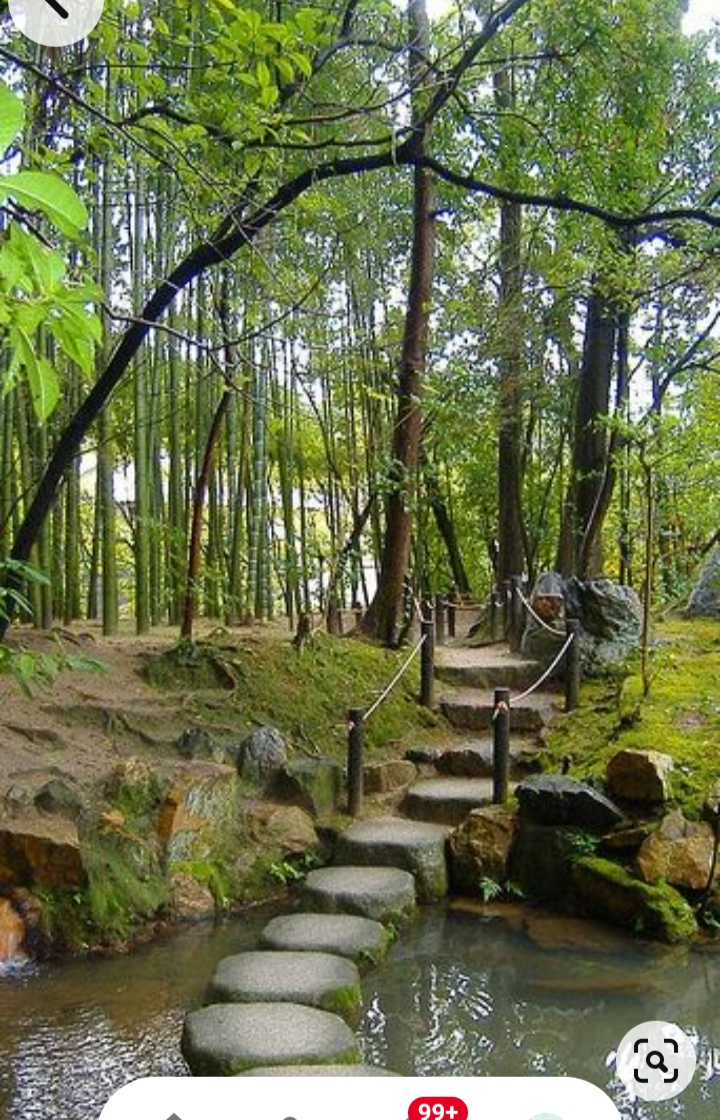 Cinquain Poems Original.