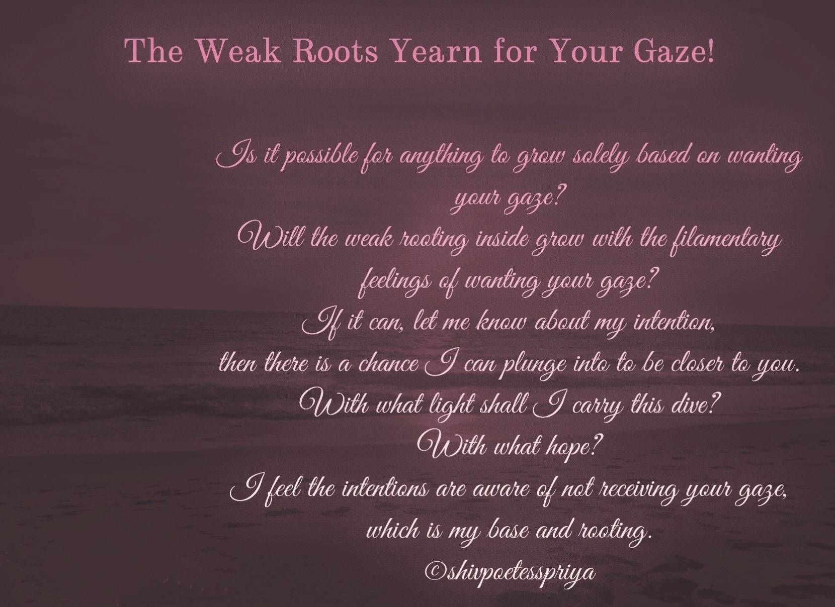 The Weak Roots Yearn For Your Gaze.