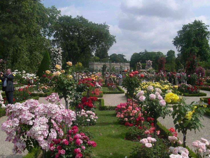 Beauty Is Art, Music And Poetry In One!