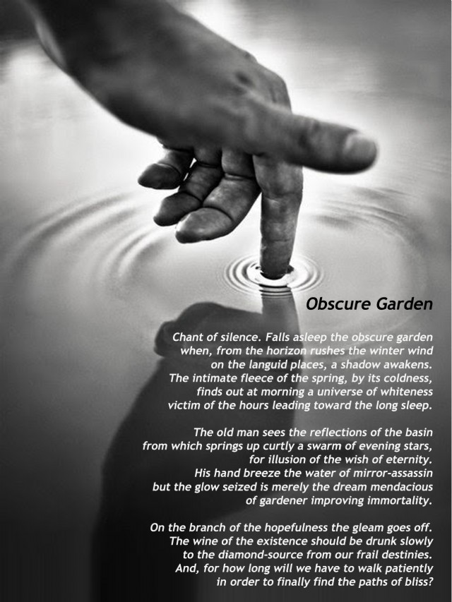 Obscure Garden