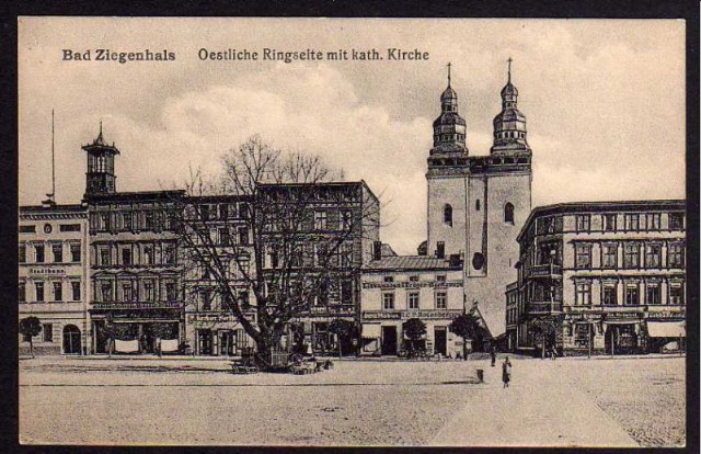 Die Geschichte Der Alten Linde