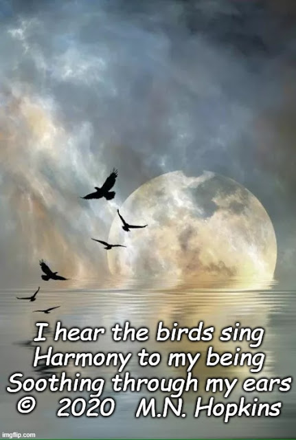 I Hear The Birds Sing