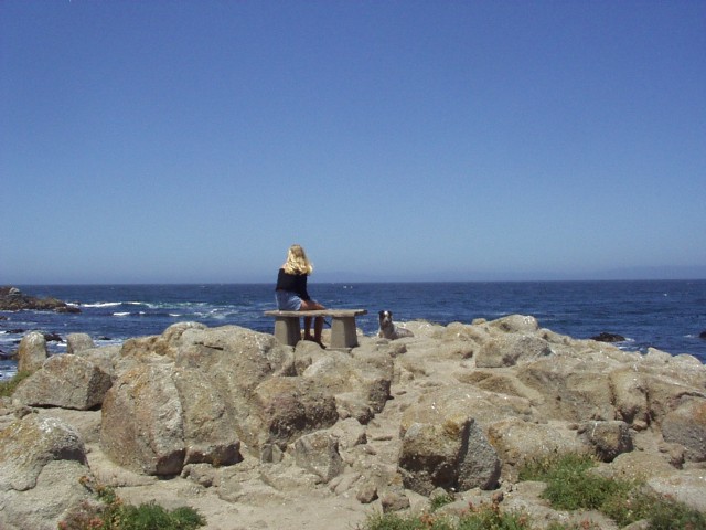 ~~~ Waste The Time ~~~