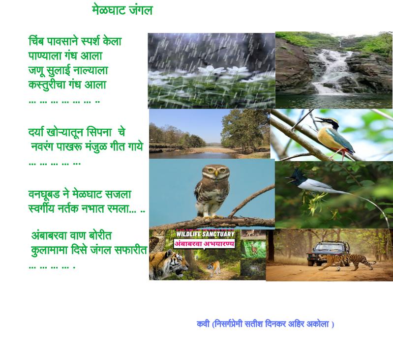 मेळघाट जंगल