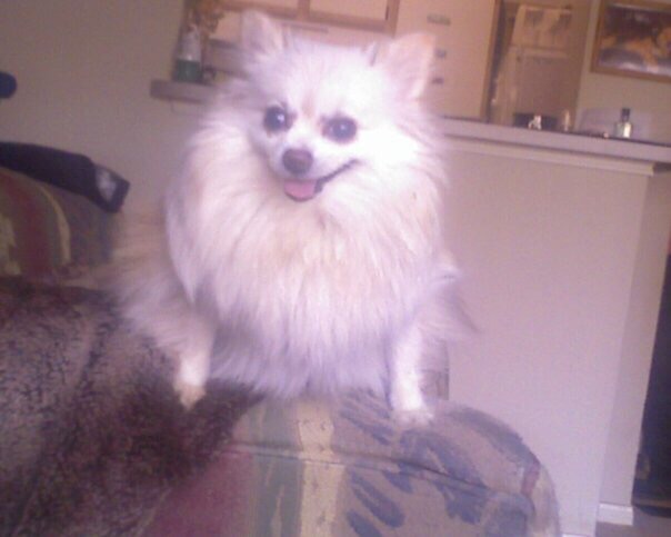 Poem And Prayer For My Best Friends!