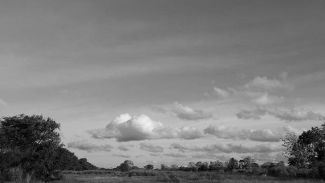 Lamentations Of A Rock