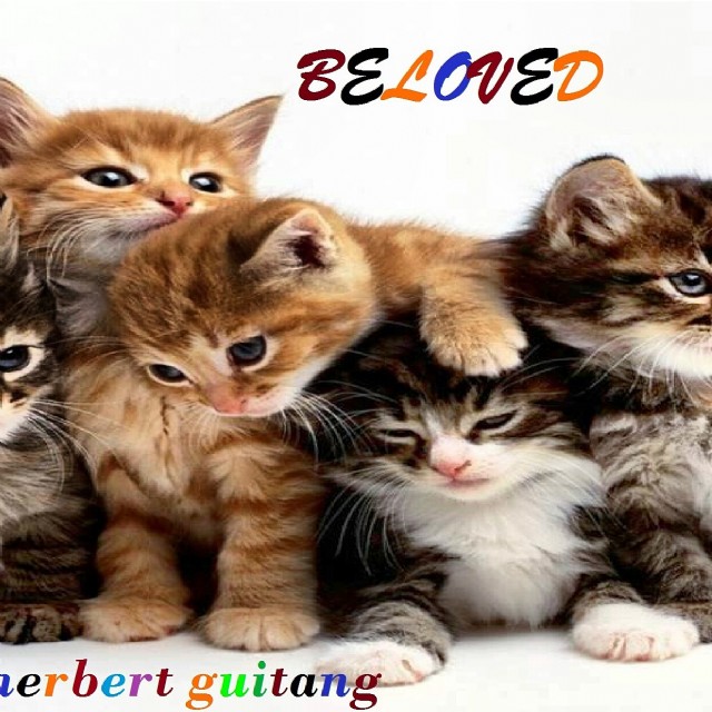 Yakap Ni Jollibee At Mcdonald