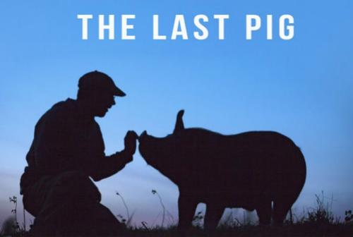 Bob Comis' Last Pig