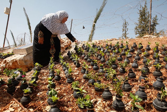 Palestinian Flower Woman