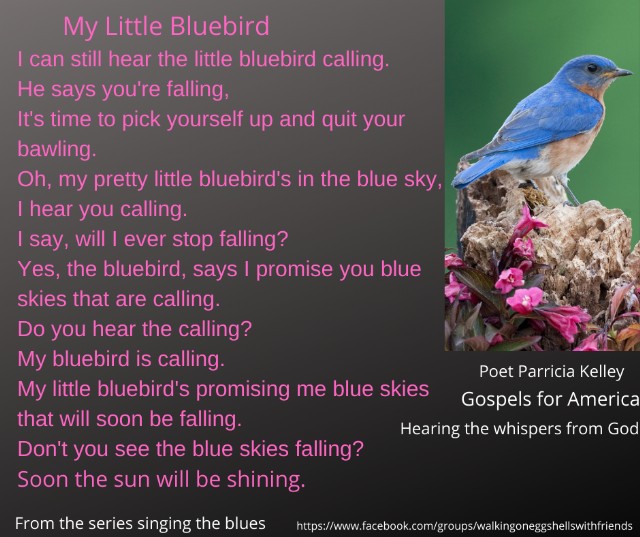 My Little Bluebird