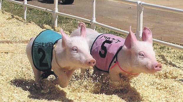 Points Of Difference