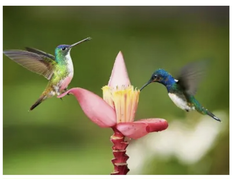 Longing For Summertime.