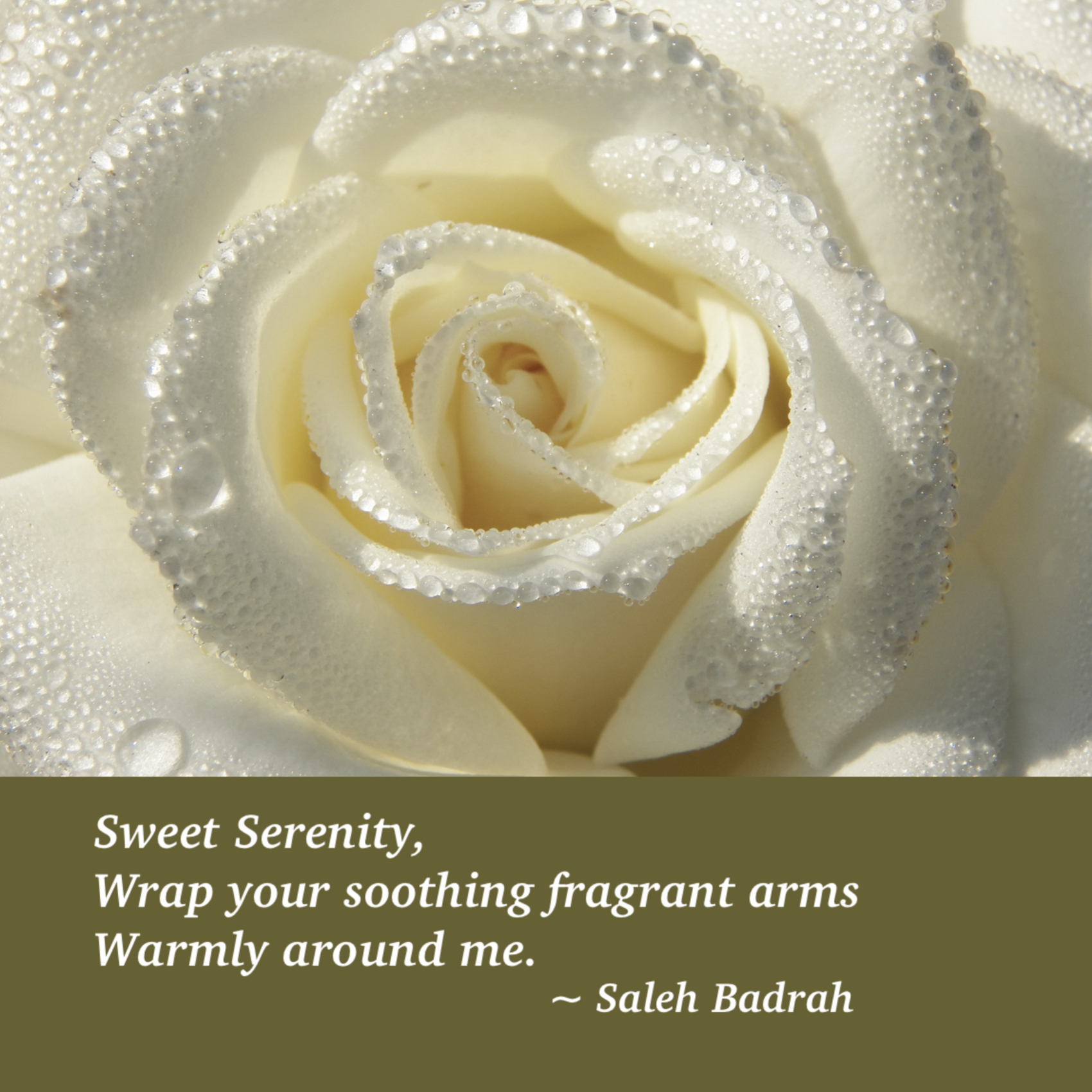 Sweet Serenity