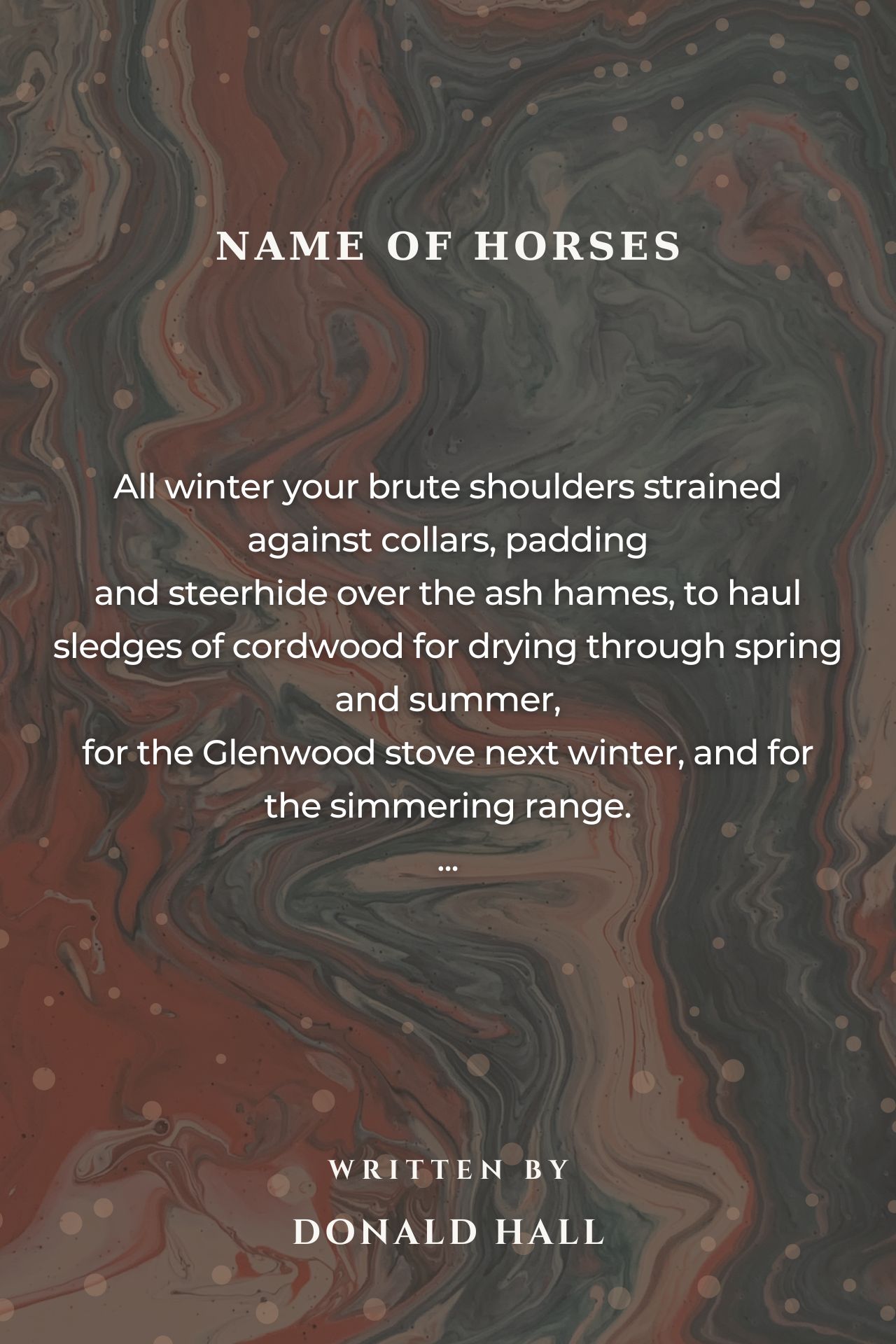 Name Of Horses