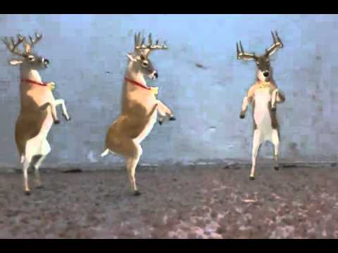 The Deer May Dance