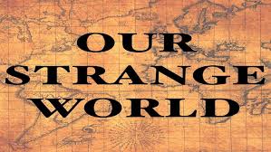 फानी दुनिया... Fani