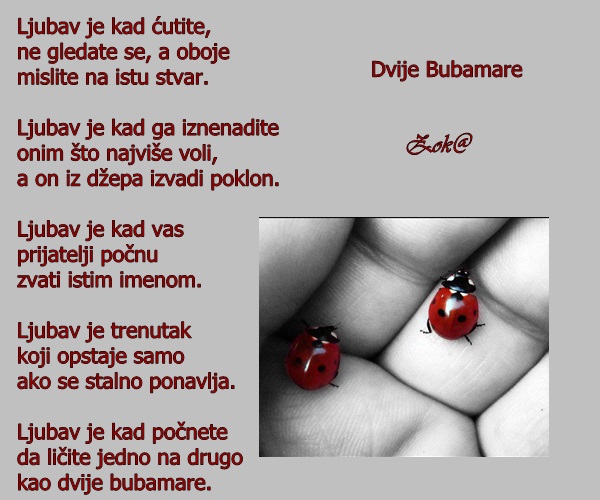 Two Ladybugs ~ Dvije Bubamare