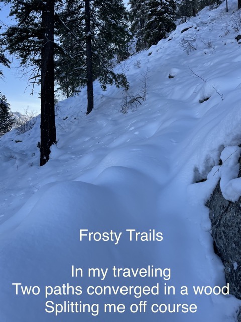 Frosty Trails