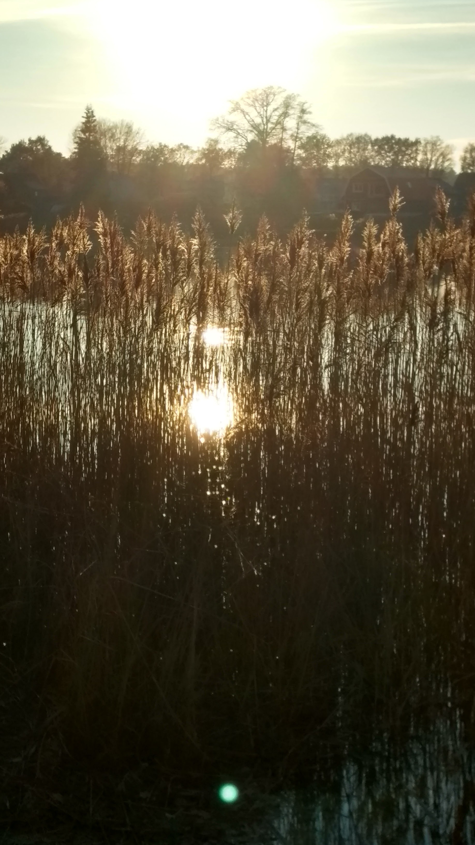 Im Abendlicht