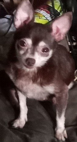 Rest In Peace, Hazel - Part 4