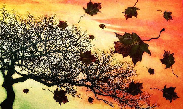 Autumn Evening