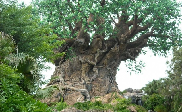 I & My Beloved Aged Thousands Year