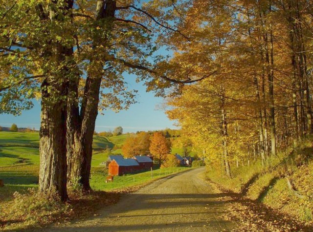 Autumn In The Country