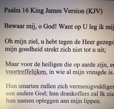 David Canticum Domini....