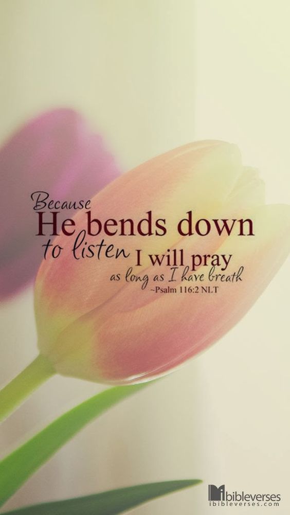 The Prayer Of My Soul