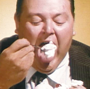 Por Que Estou Tão Gordo?