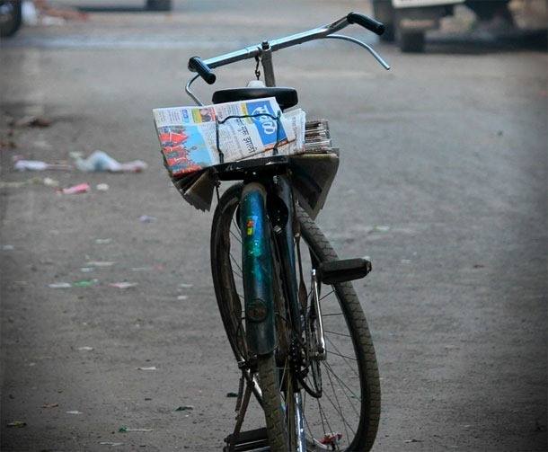 Life In Cycles