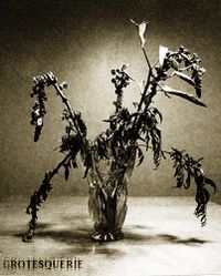 Dead Flowers (Aleppians)