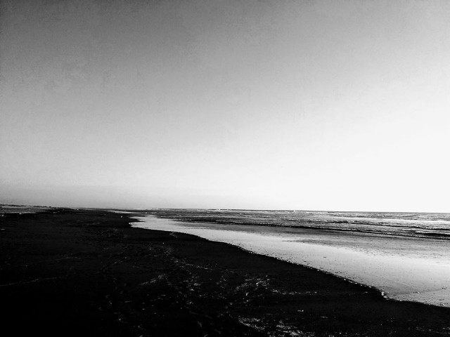 The Scheme Of Things