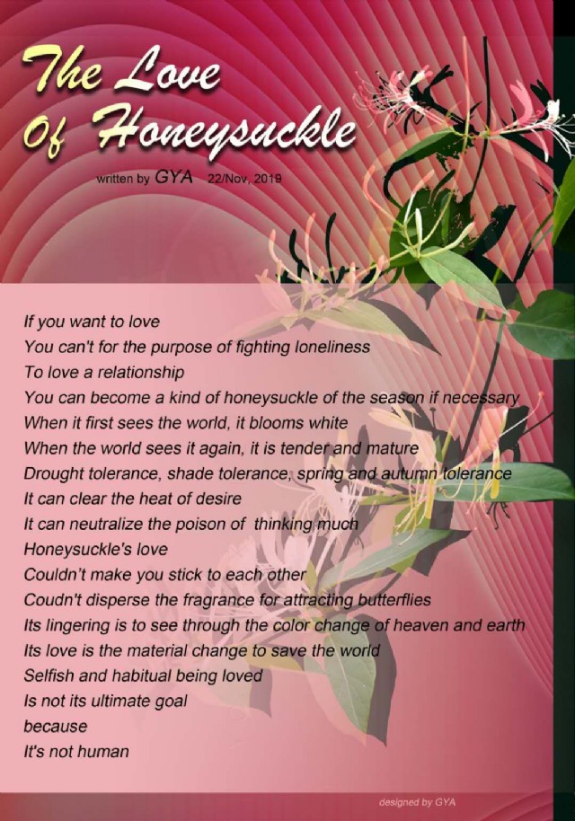 The Love Of Honeysuckle