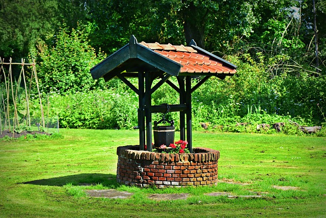 Wishing Well
