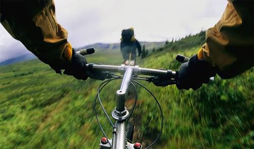 Life - My Point Of View