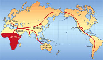Science - The Three Jumps To Humans