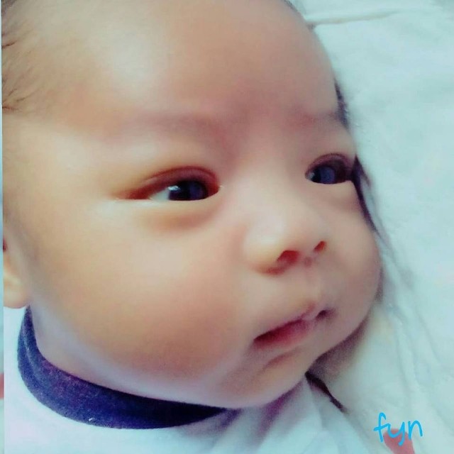 Fyn Hayden's Delight