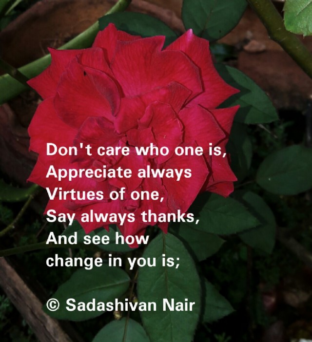 Don't Care Who One Is