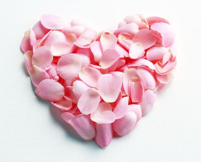 Petals