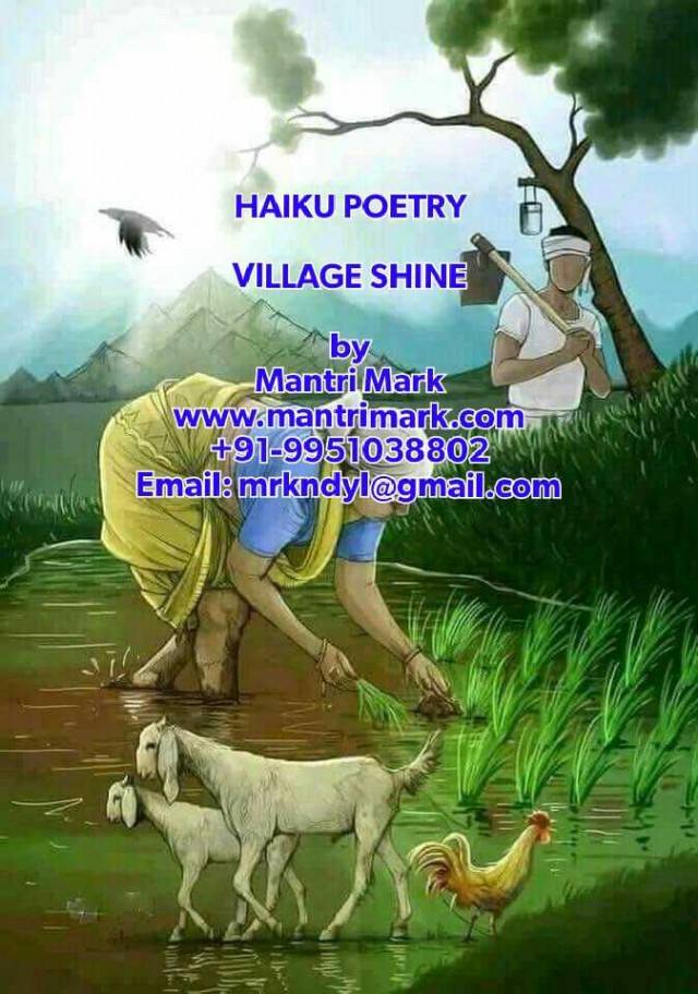 Village Shine ©