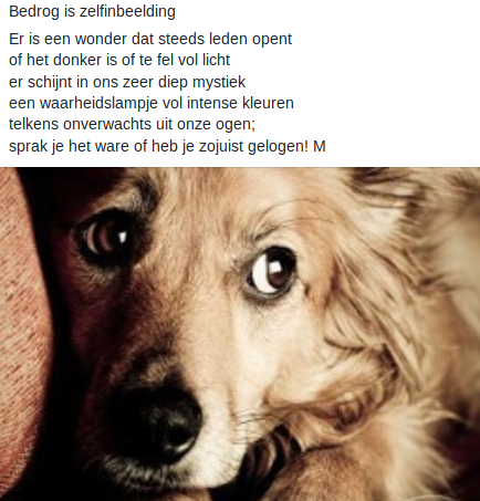 Bedrog Is Zelfinbeelding